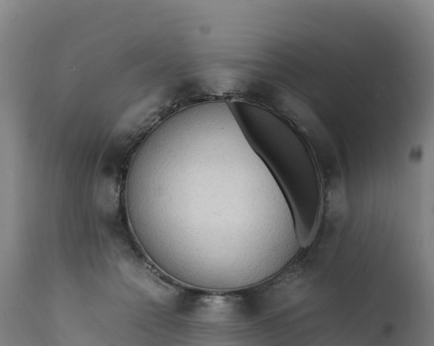 X0000112410558200908281816