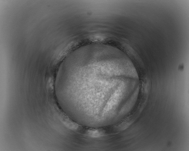 X0000112410561200908281816