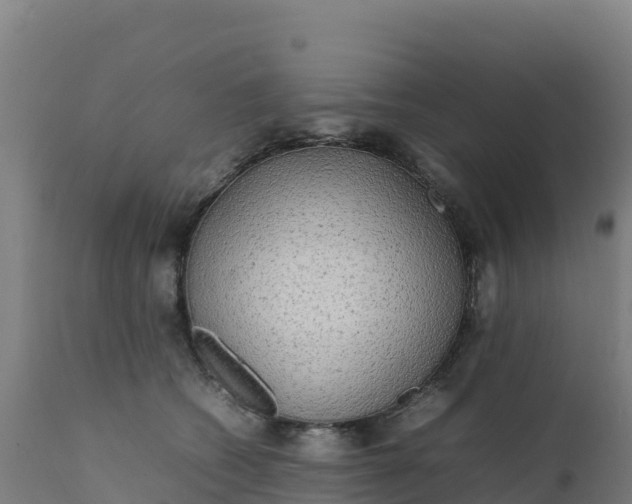 X0000112410562200908281816