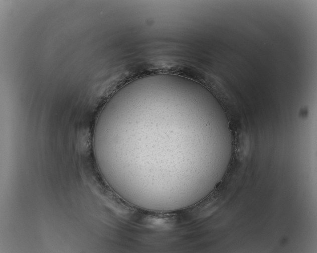 X0000112410563200908281816