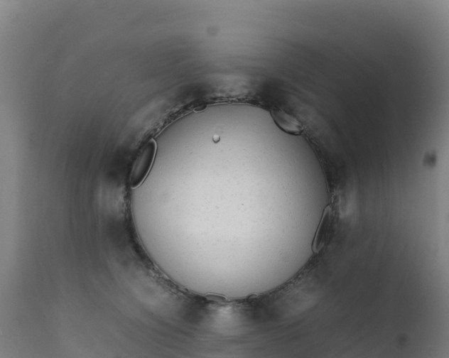 X0000112410564200908281816