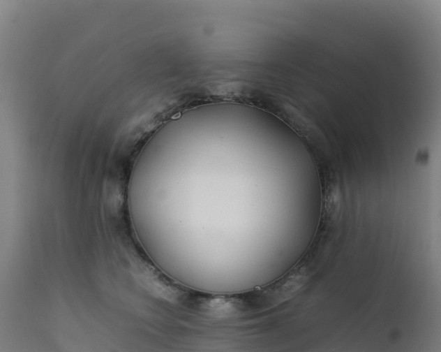 X0000112410566200908281816