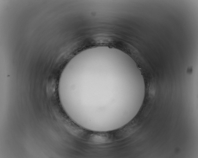 X0000112410567200908281816