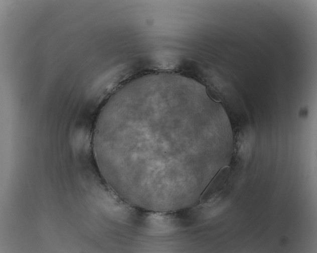 X0000112410568200908281816