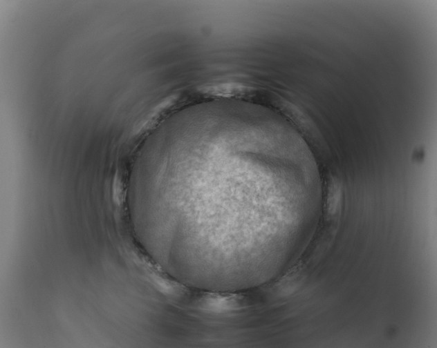 X0000112410569200908281816