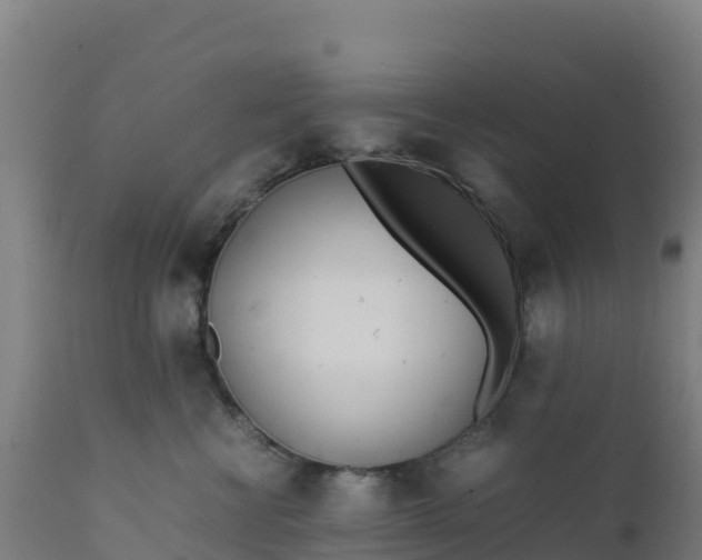 X0000112410570200908281816