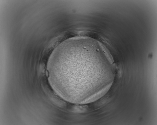 X0000112410571200908281816