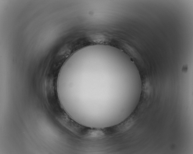 X0000112410572200908281816