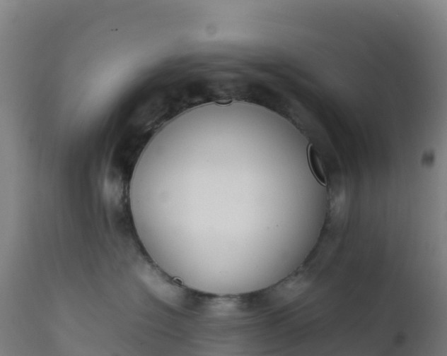 X0000112410574200908281816