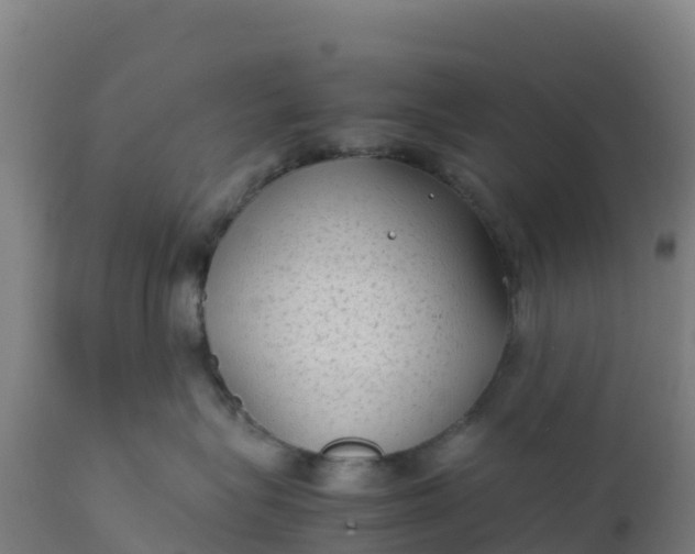 X0000112410575200908281816