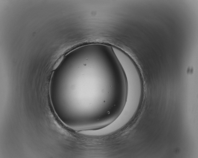 X0000112410577200908281815