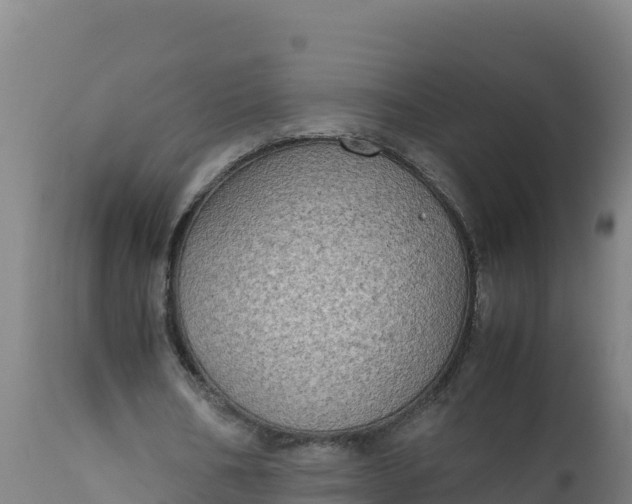 X0000112410578200908281815