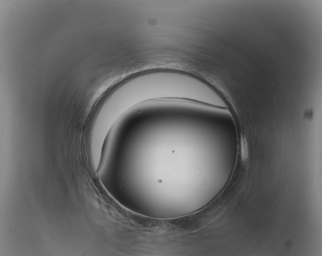 X0000112410579200908281815