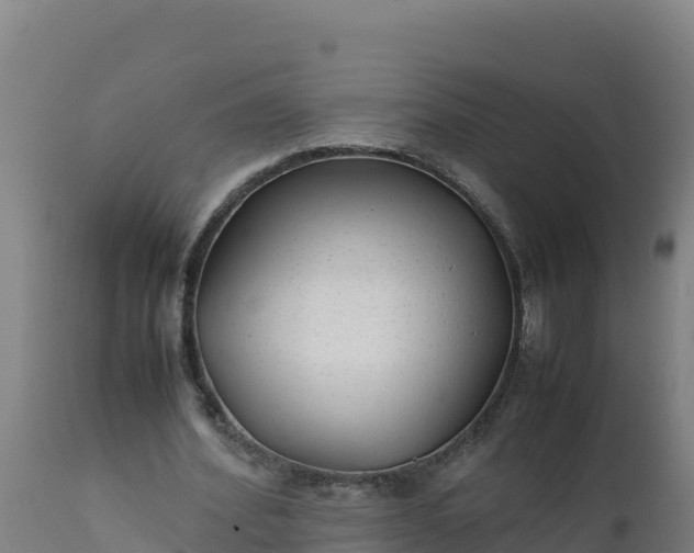 X0000112410580200908281815