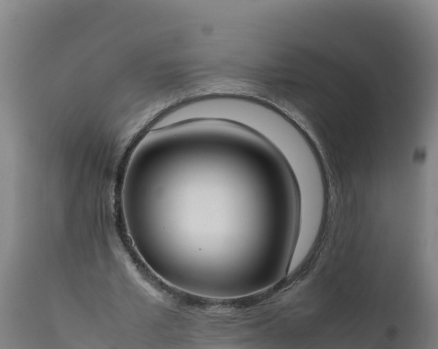 X0000112410581200908281815