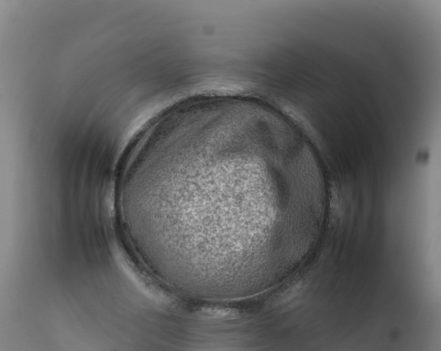 X0000112410582200908281815