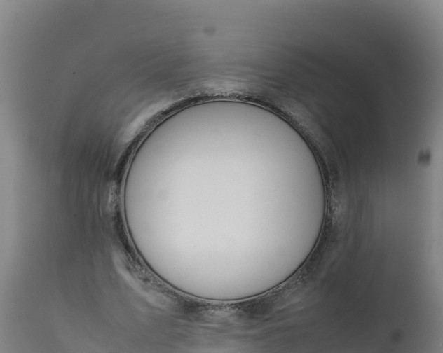 X0000112410583200908281815