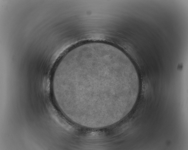 X0000112410584200908281815