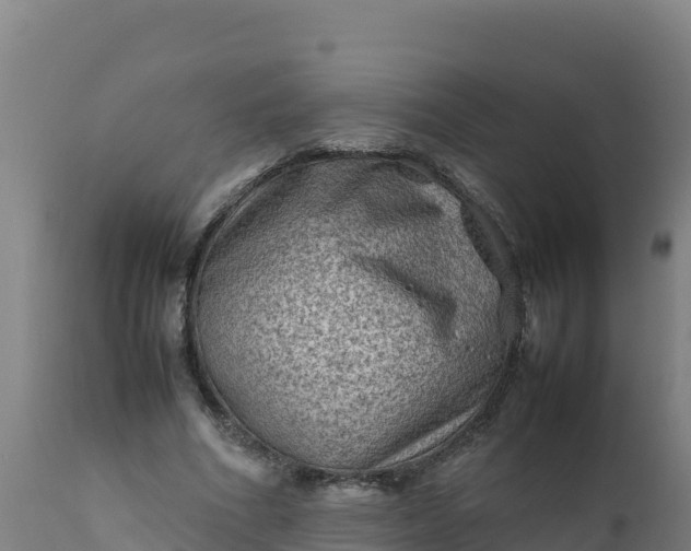 X0000112410586200908281815