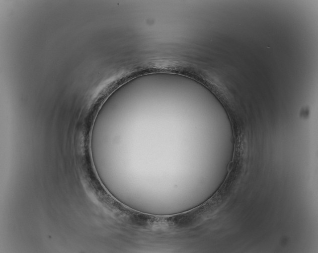 X0000112410587200908281815