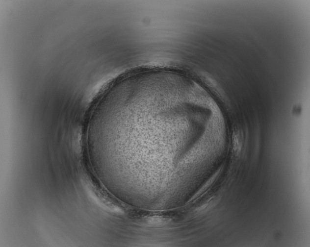 X0000112410588200908281815