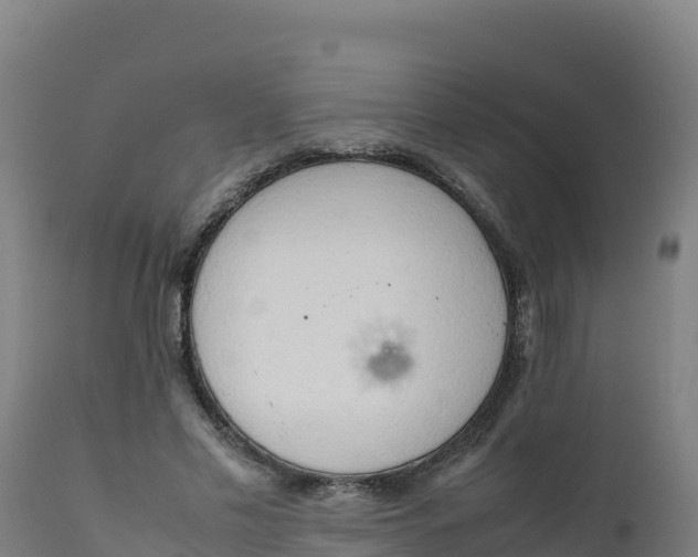 X0000112410589200908281815