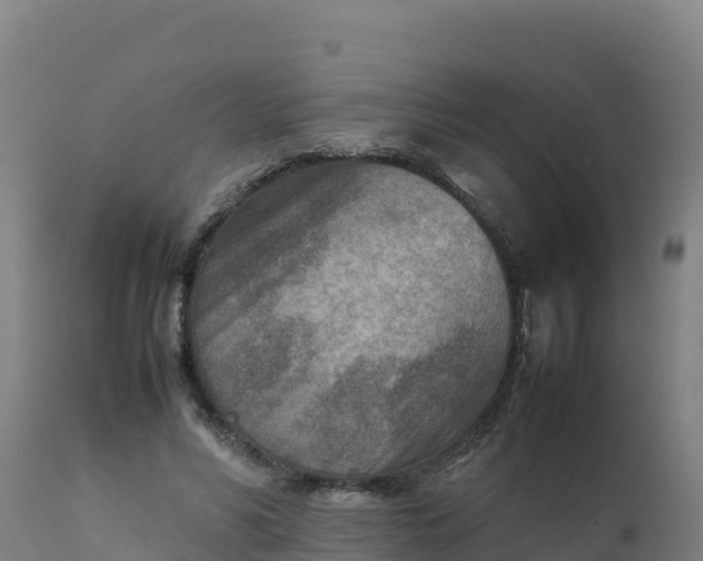 X0000112410590200908281815