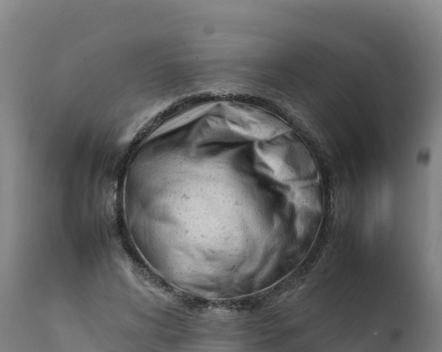 X0000112410592200908281815