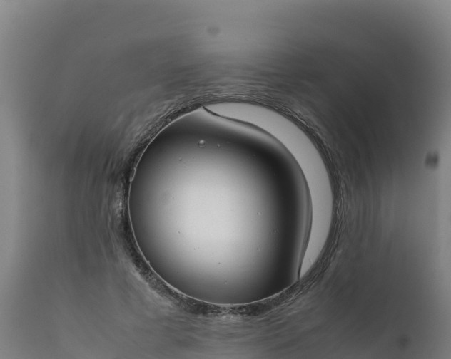 X0000112410593200908281815