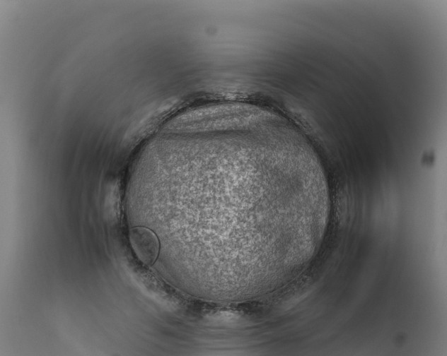 X0000112410594200908281815