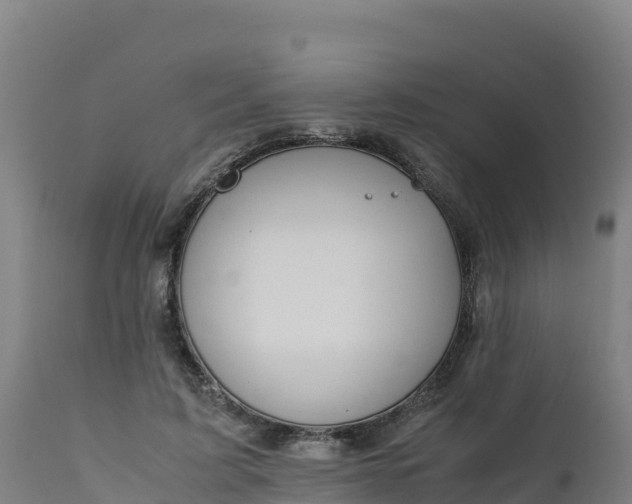 X0000112410595200908281815