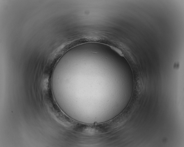 X0000112410596200908281815