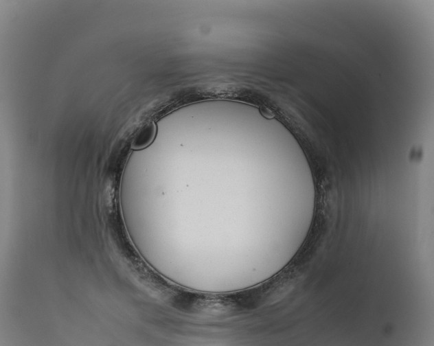 X0000112410597200908281815