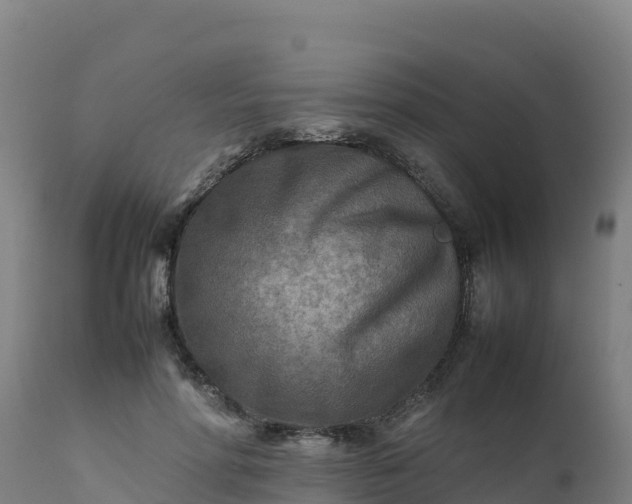 X0000112410598200908281815