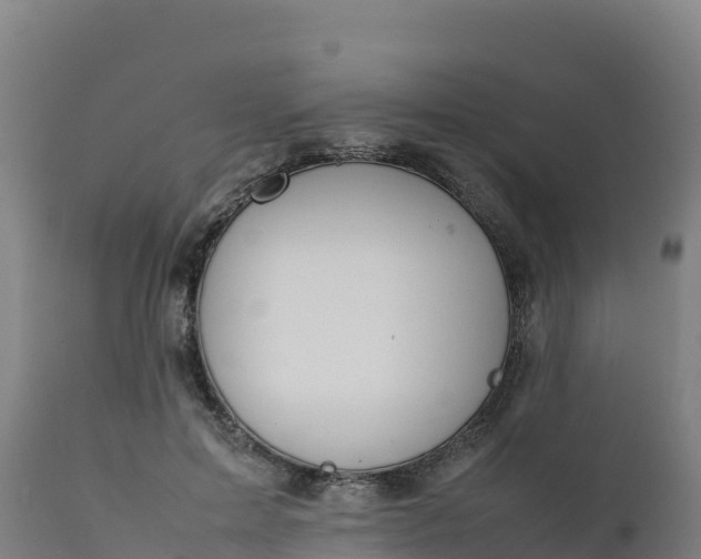 X0000112410599200908281815