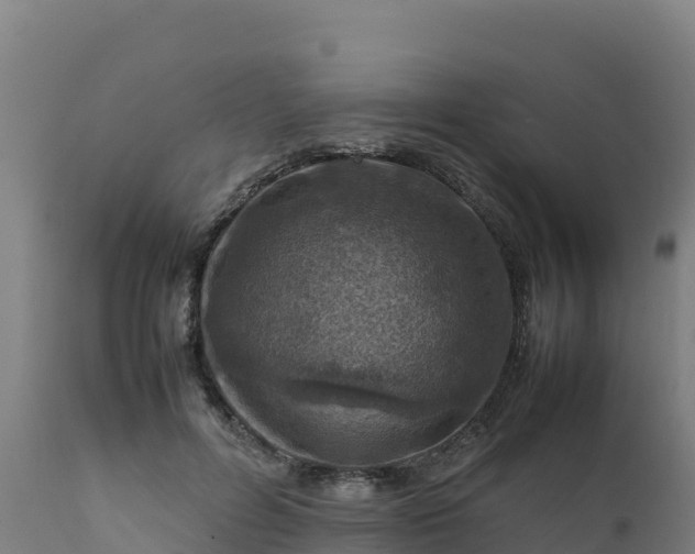 X0000112410600200908281815