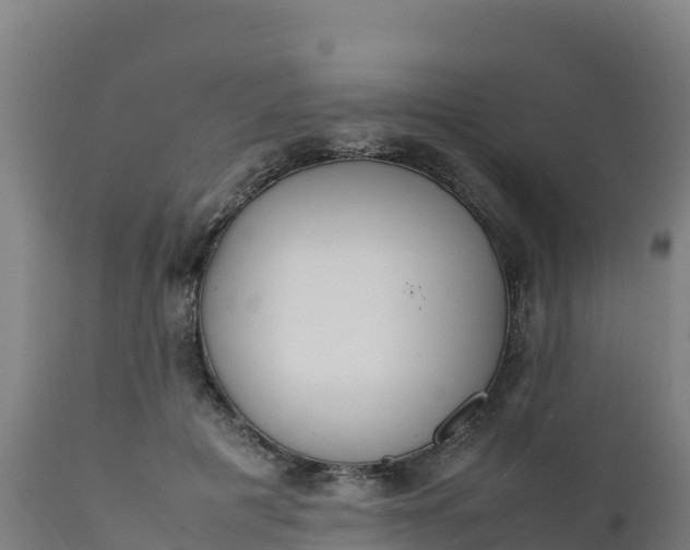 X0000112410601200908281815