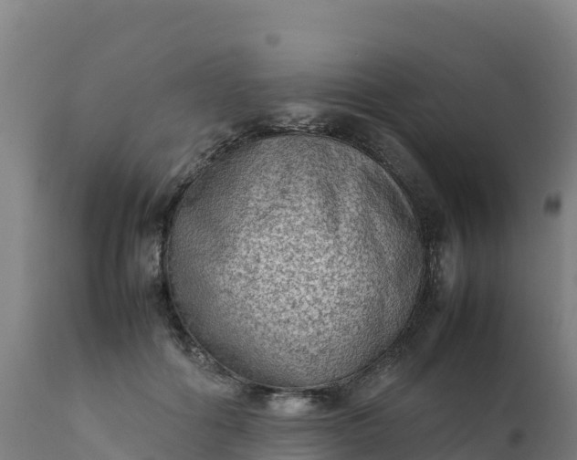 X0000112410602200908281815