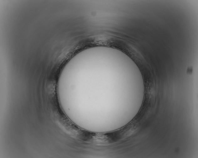 X0000112410603200908281815