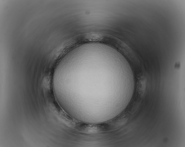 X0000112410604200908281815