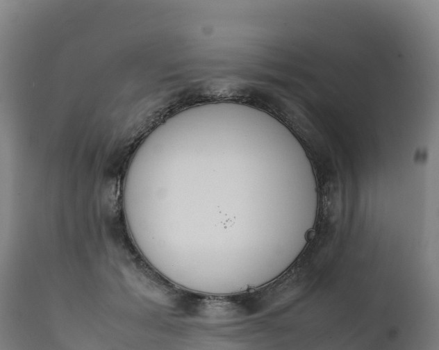 X0000112410605200908281815