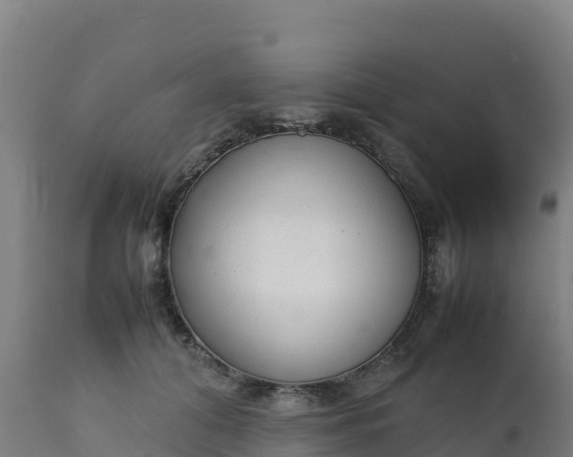 X0000112410608200908281815