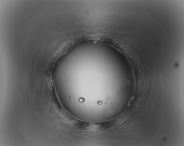 X0000112410609200908281815