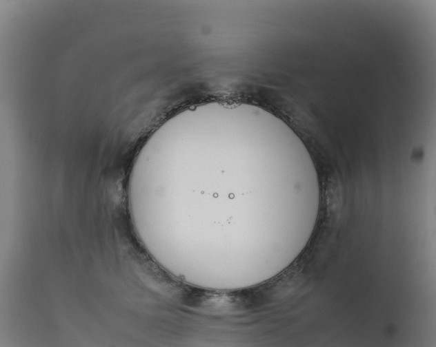 X0000112410611200908281815