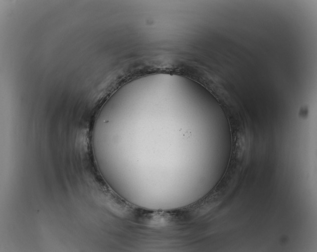 X0000112410612200908281815