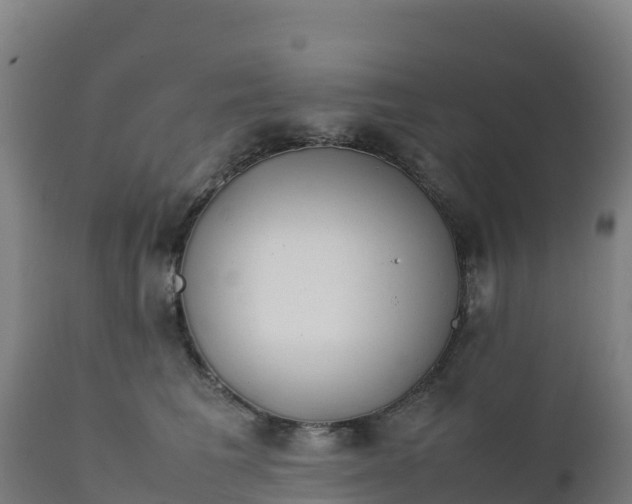 X0000112410613200908281815