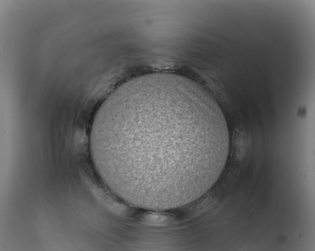 X0000112410614200908281815