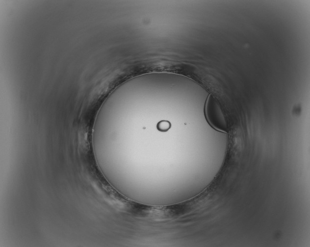 X0000112410615200908281815