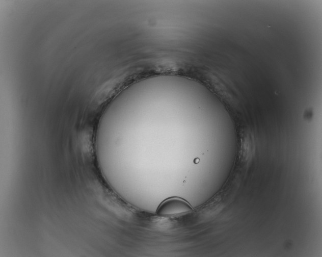 X0000112410616200908281815