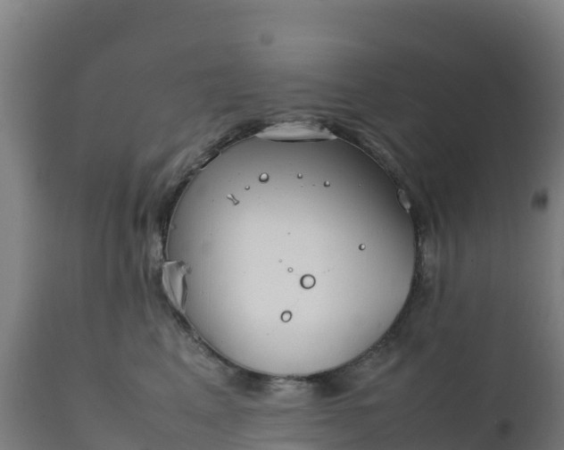 X0000112410617200908281815